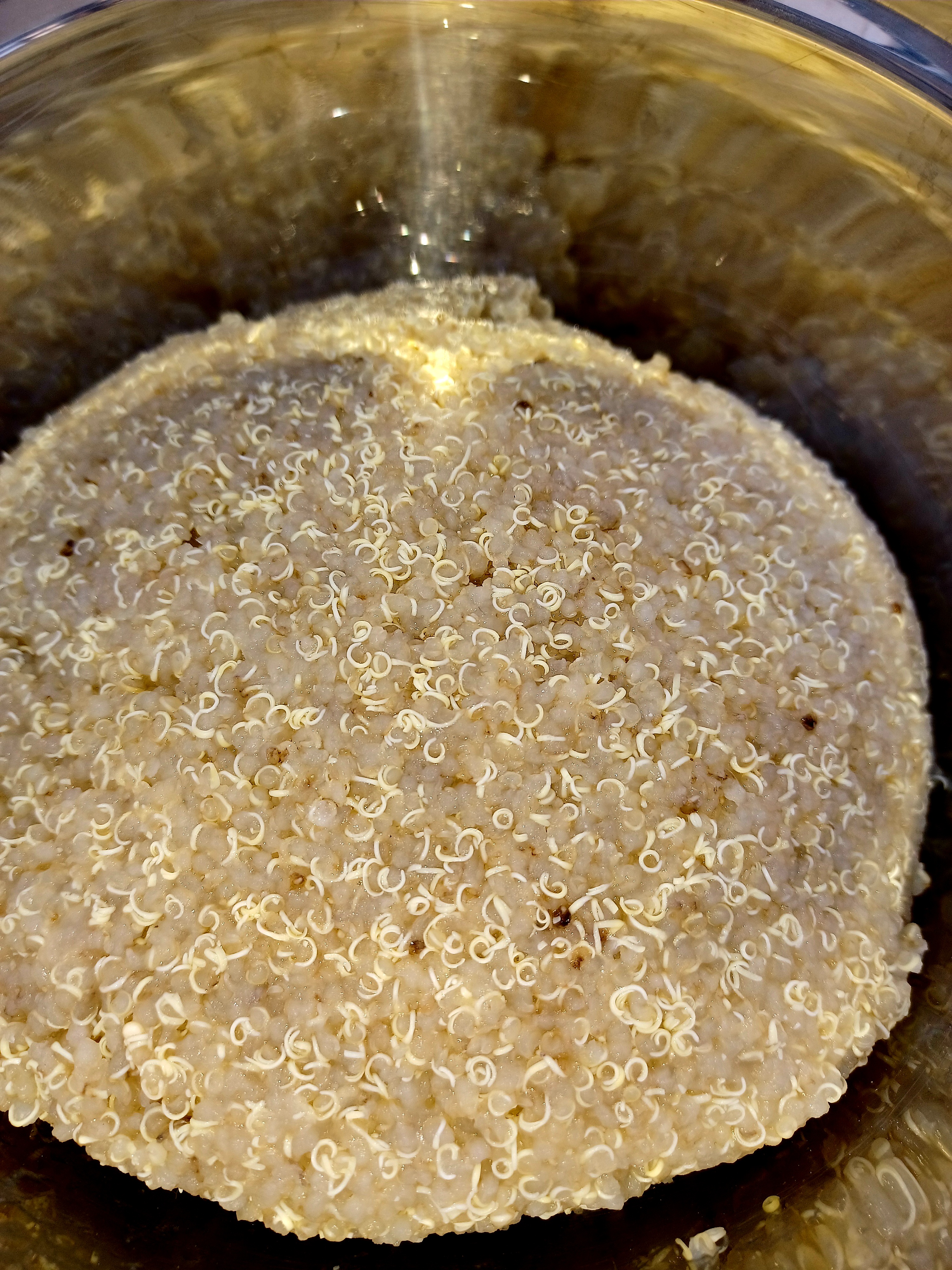 Quinoa quillt Quinoa quillt